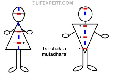 polarization of the 1st muladhara chakra in men and women