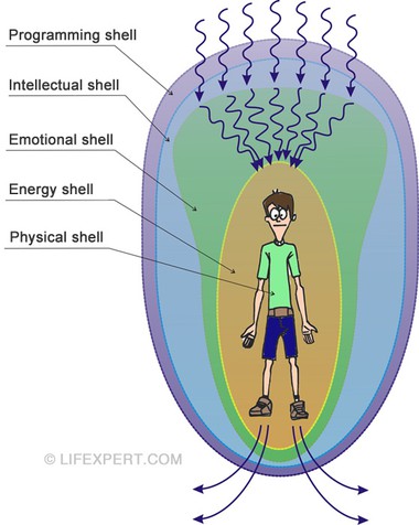 Energy-information shells of a human