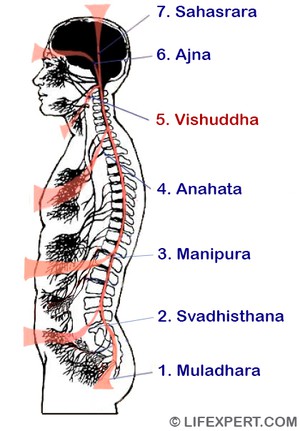 location of vishuddha 5th fifth chakra, where is it located
