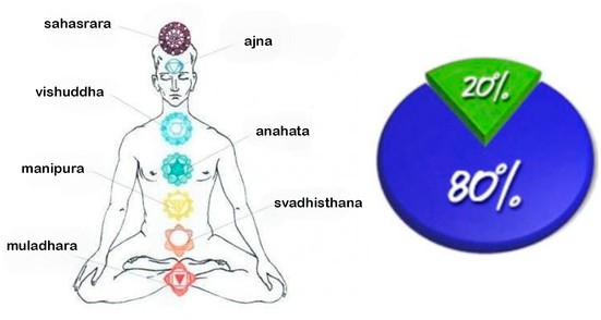 The meaning of chakras in the overall human energy system
