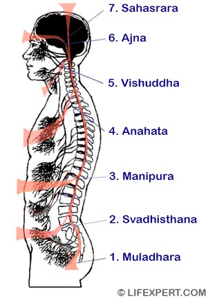 location of chakras on the human body