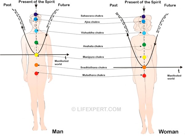 chakras in men and women